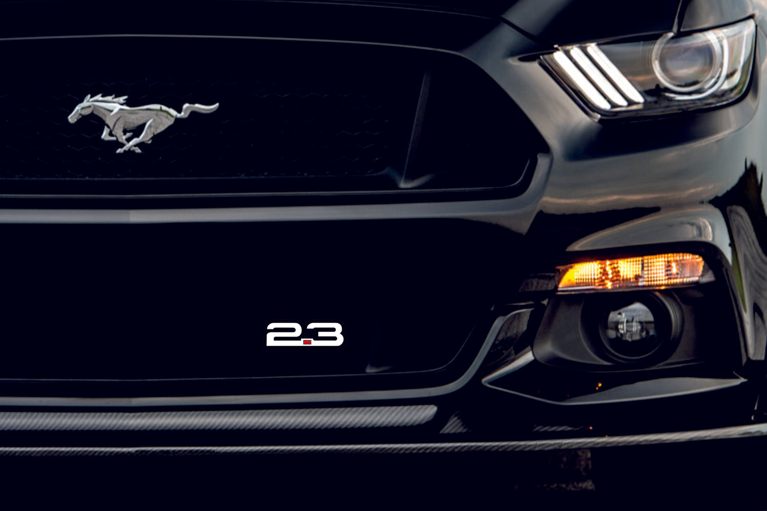 Ford Emblem & Badge Set - Grille and Tailgate 2.3 logo Ford emblems decoinfabric