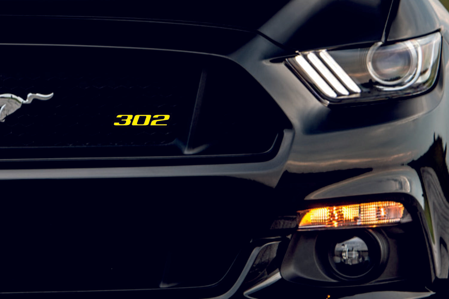Ford Mustang Emblem & Badges set with 302 logo Ford emblems decoinfabric BLACK YELLOW