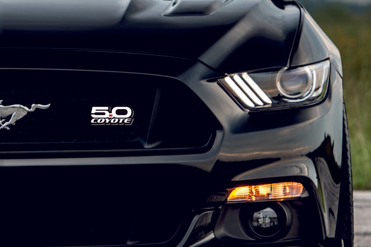 Ford Mustang Emblem & Badge Set - Grille and Tailgate 5.0 Coyote logo Ford emblems decoinfabric