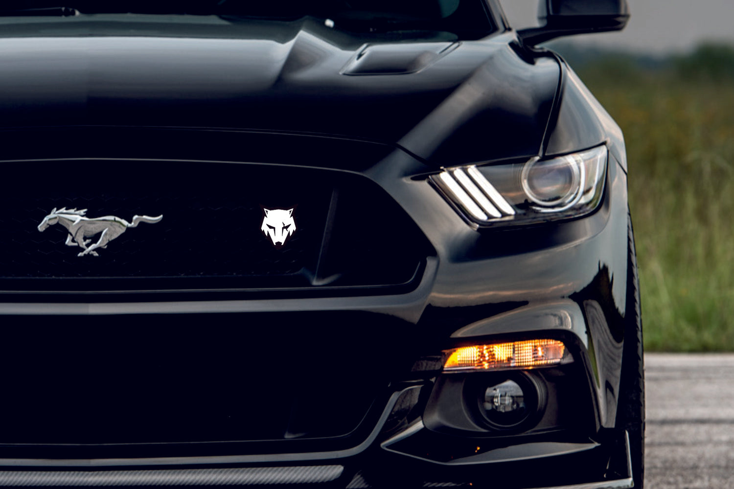 Ford Mustang Emblem & Badge Set - Grille and Tailgate Coyote logo Ford emblems decoinfabric WHITE