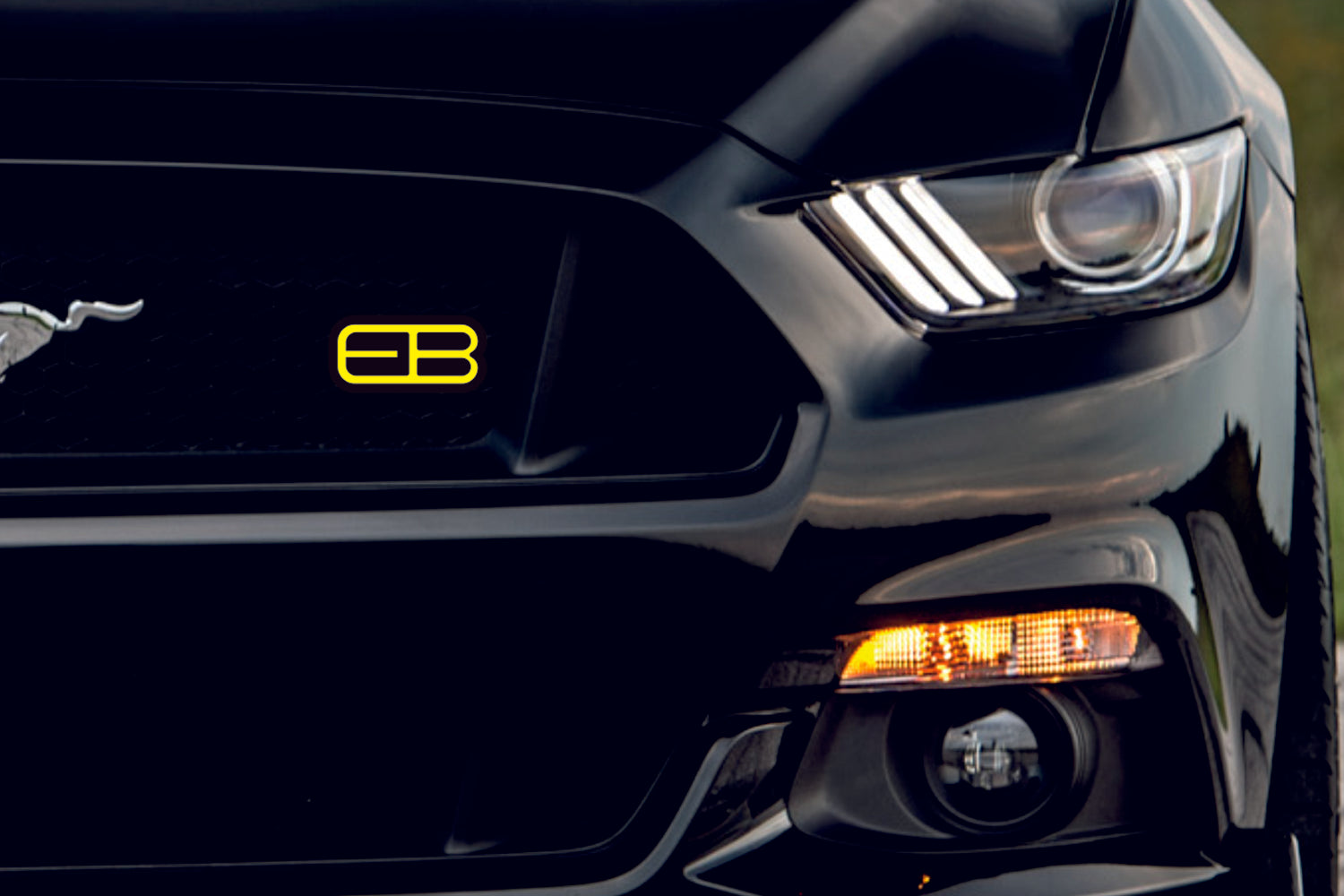 Ford Radiator grille emblem with EB logo Ford emblems decoinfabric