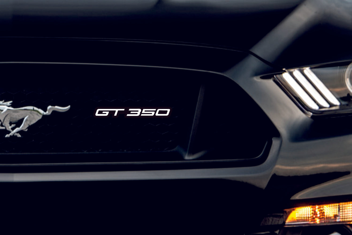Ford Radiator grille emblem with GT350 logo Ford emblems decoinfabric BLACK WHITE