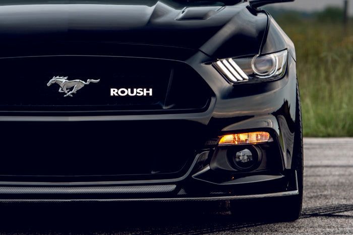 Ford Mustang Emblem & Badge Set - Grille and Tailgate Roush logo Ford emblems decoinfabric WHITE
