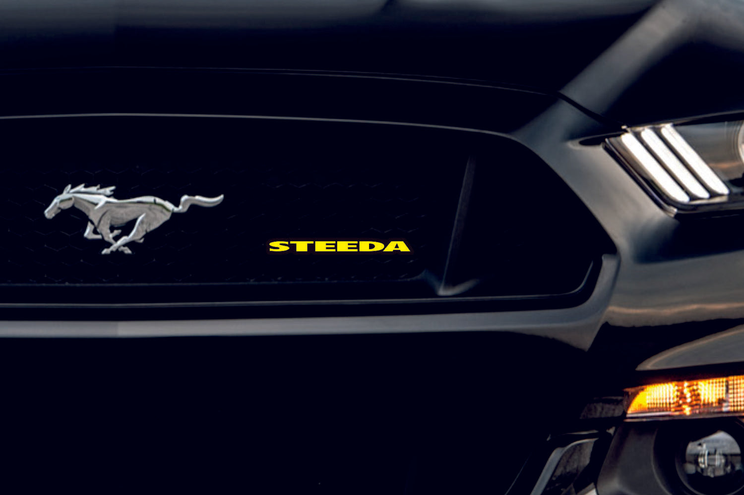 Ford Radiator grille emblem with Steeda logo Ford emblems decoinfabric