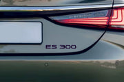 Lexus tailgate trunk rear 3D emblem with ES300 logo (type MIXT)