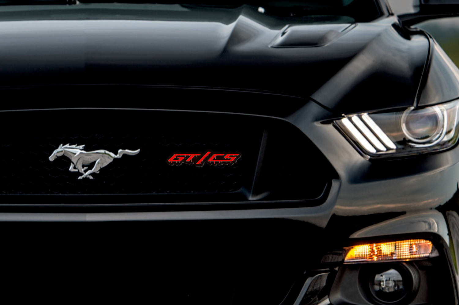 Ford Radiator grille emblem with GT/CS Blood logo Ford emblems decoinfabric