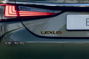 Lexus tailgate trunk rear 3D emblem with Lexus logo (type MIXT) Var. 1