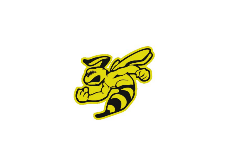 Dodge Emblem & Badges set with murdeR horneT logo (Type 3) Dodge emblems decoinfabric BLACK YELLOW