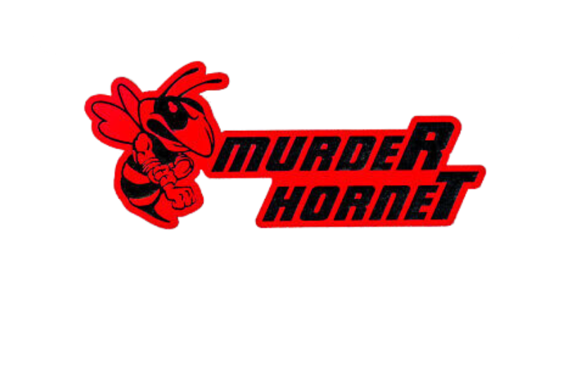 Dodge Emblem & Badges set with murdeR horneT logo (Type 2)