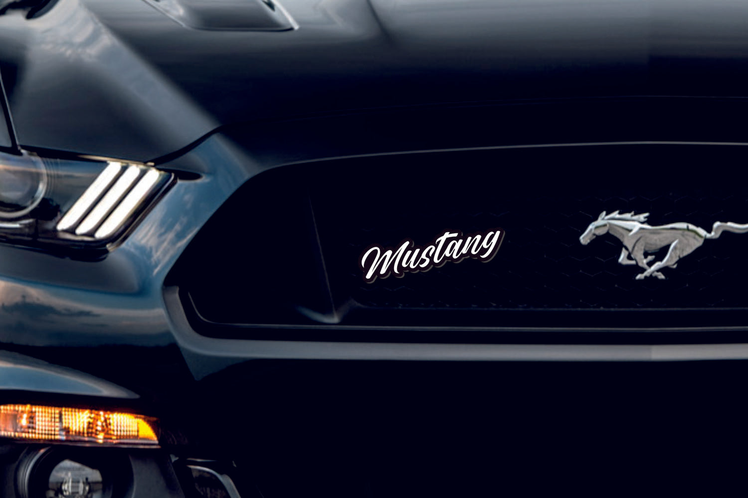 Ford Mustang Emblem & Badges set with Mustang logo