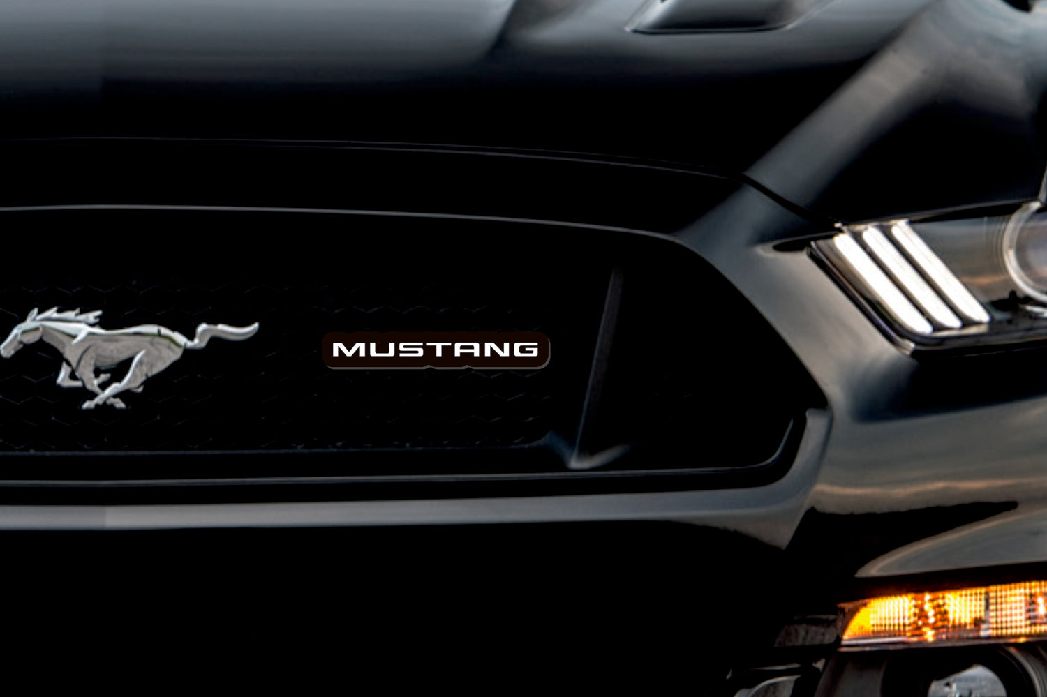 Ford Illuminated LED Radiator Grille Emblems and Badges with Mustang (type 1) logo Ford Led Emblems decoinfabric