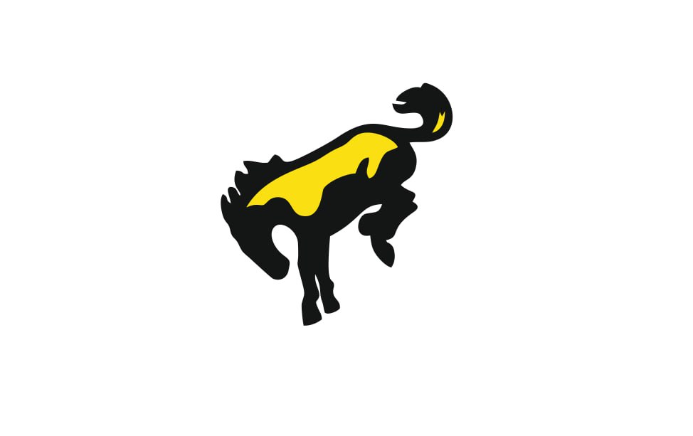 Ford Bronco emblem for fenders with Bronco logo (Type 3) Ford emblems decoinfabric BLACK YELLOW