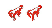 Ford Bronco emblem for fenders with Bronco logo (Type 3) Ford emblems decoinfabric RED WHITE