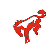 Ford Bronco Emblem & Badge Set - Grille and Tailgate Bronco logo (Type 3) Ford emblems decoinfabric RED