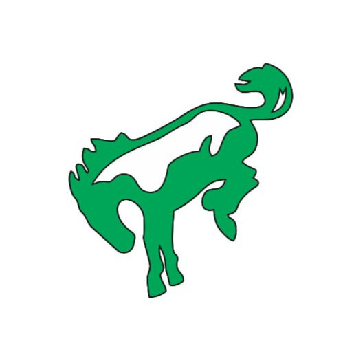 Ford Bronco Emblem & Badge Set - Grille and Tailgate Bronco logo (Type 3) Ford emblems decoinfabric GREEN