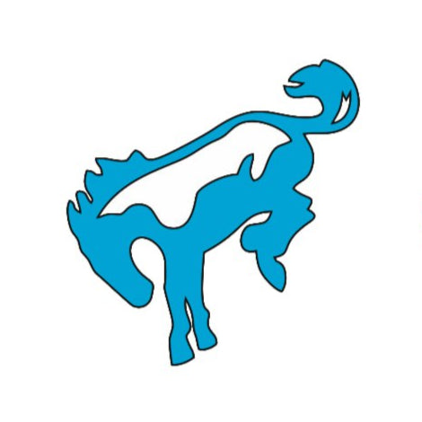 Ford Bronco Emblem & Badge Set - Grille and Tailgate Bronco logo (Type 3) Ford emblems decoinfabric LIGHT BLUE