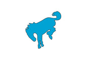 Ford Bronco tailgate trunk rear emblem with Bronco logo (Type 4) Ford emblems decoinfabric BLACK BLUE