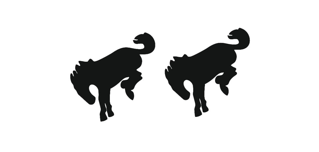 Ford Bronco tailgate trunk rear emblem with Bronco logo (Type 4) Ford emblems decoinfabric BLACK BLACK