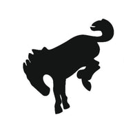 Ford Bronco Emblem & Badge Set - Grille and Tailgate Bronco logo (Type 4) Ford emblems decoinfabric BLACK