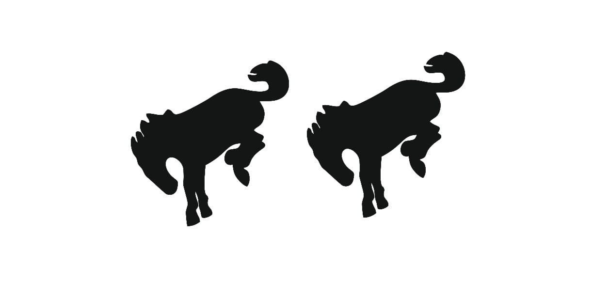 Ford Bronco Emblem & Badges set with Bronco logo (Type 4) Ford emblems decoinfabric BLACK BLACK