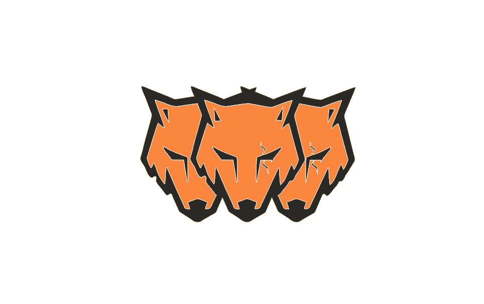 Ford Mustang Emblem & Badges set with Coyote logo (type 13) Ford emblems decoinfabric BLACK ORANGE