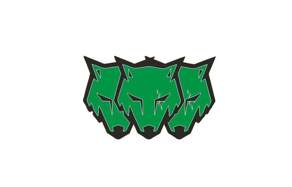 Ford Mustang Emblem & Badges set with Coyote logo (type 13) Ford emblems decoinfabric BLACK GREEN