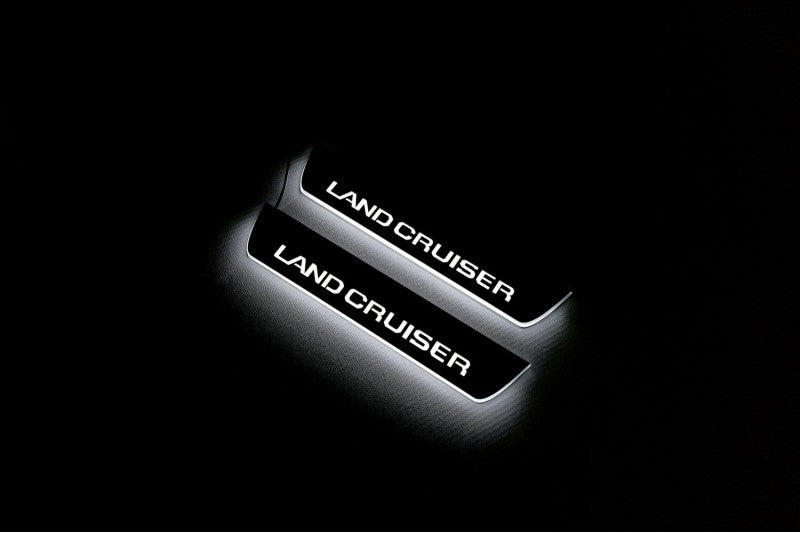 Umbrales de puerta LED BMW X5 E53 con logotipo X5