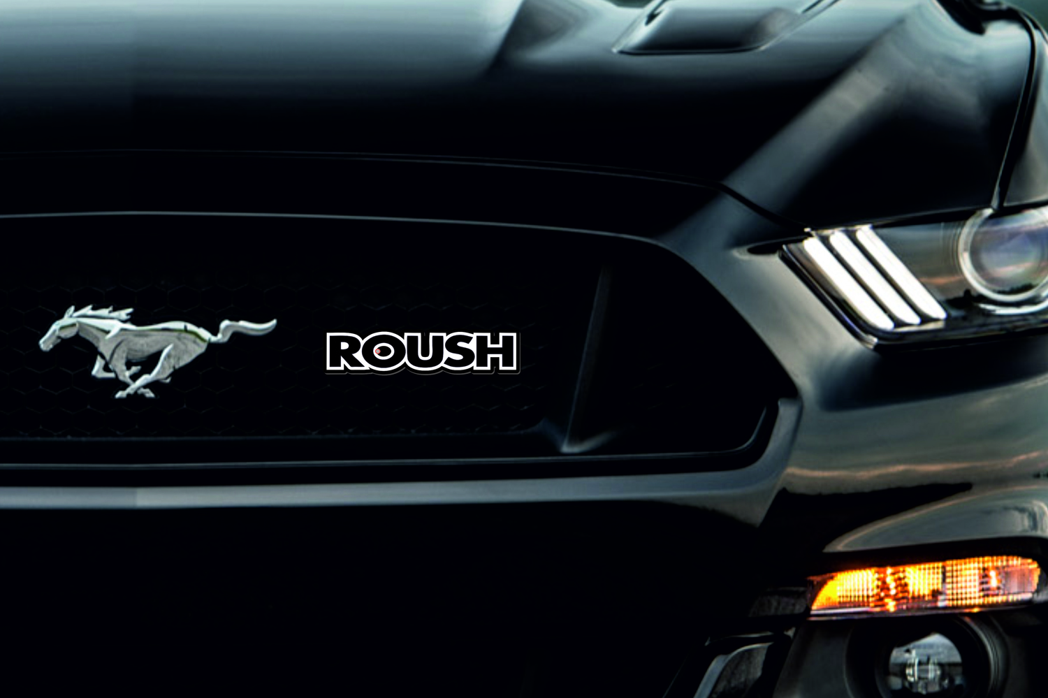 Ford Mustang Radiator grille emblem with ROUSH logo (Type 4) Ford emblems decoinfabric