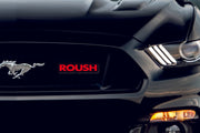 Ford Illuminated LED Radiator Grille Emblems and Badges with Roush (type 1) logo Ford Led Emblems decoinfabric