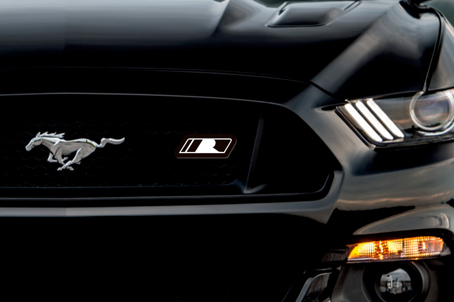 Dodge Illuminated LED Radiator Grille Emblems and Badges with Roush (type 2) logo Dodge Led emblems decoinfabric