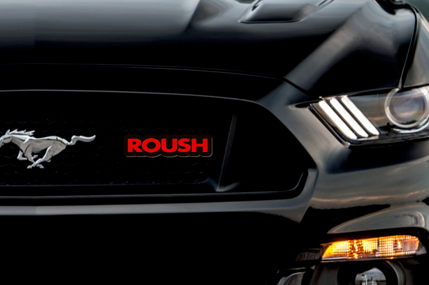 Dodge Illuminated LED Radiator Grille Emblems and Badges with Roush (type 1) logo Dodge Led emblems decoinfabric