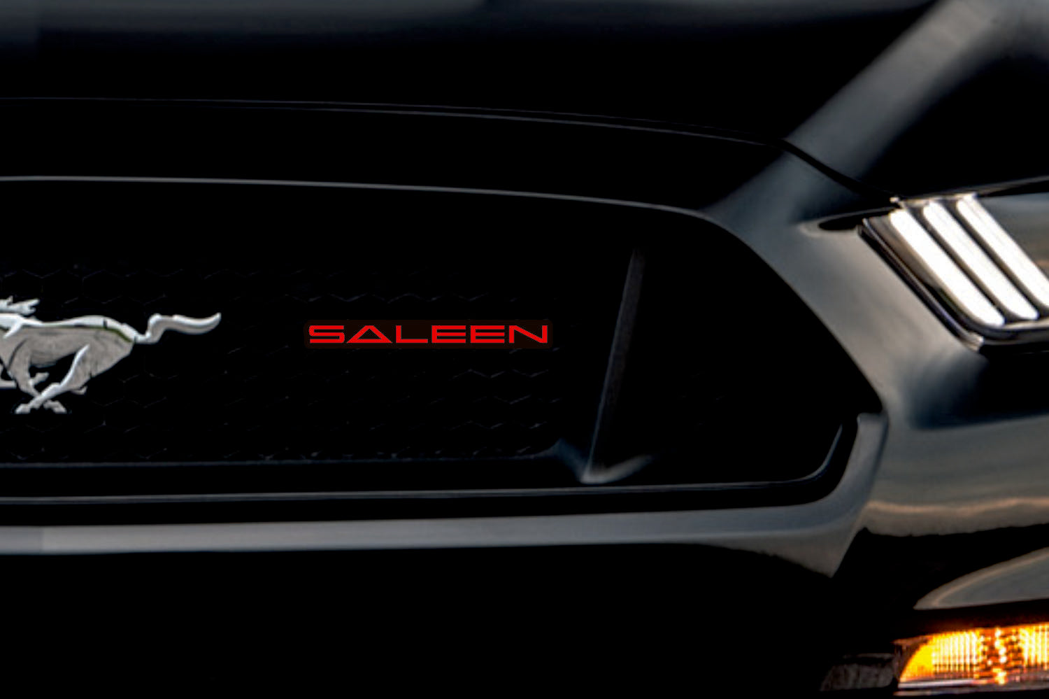 Ford Mustang Emblem & Badge Set - Grille and Tailgate Saleen logo Ford emblems decoinfabric