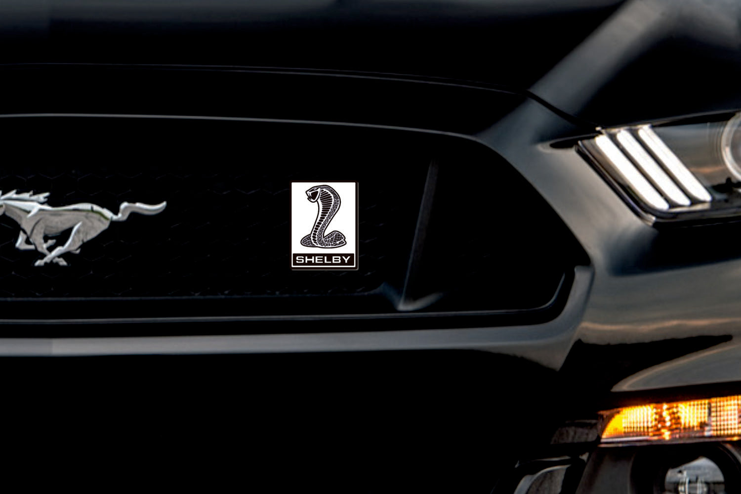 Ford Mustang Emblem & Badge Set - Grille and Tailgate Snake Shelby logo Ford emblems decoinfabric WHITE