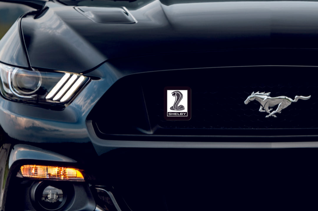 Ford Illuminated LED Radiator Grille Emblems and Badges with Mustang Snake Shelby logo Ford Led Emblems decoinfabric