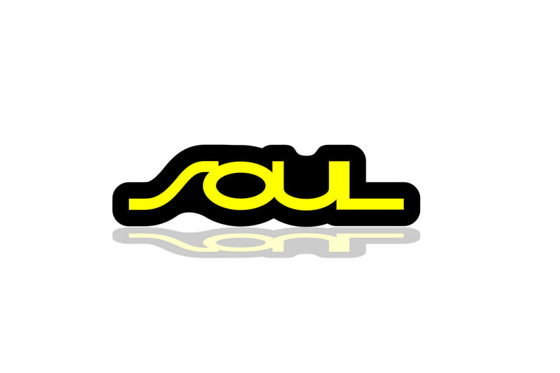 KIA Illuminated LED Radiator Grille Emblems and Badges with Soul logo KIA Led Emblems decoinfabric