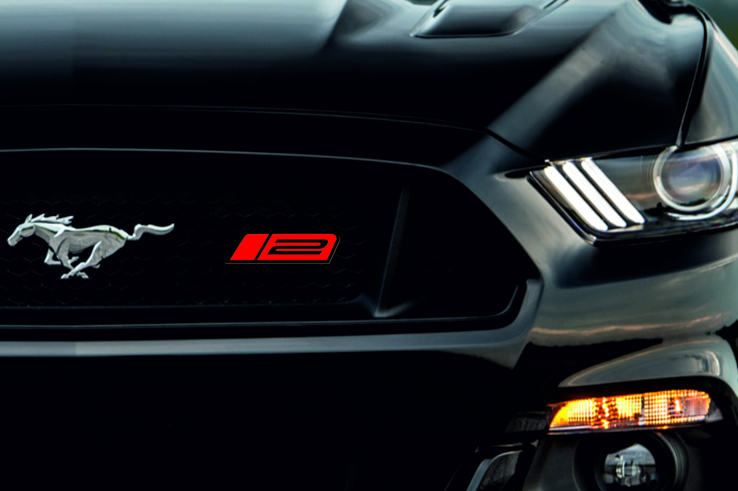 Ford Mustang Emblem & Badges set with Roush Stage 2 logo