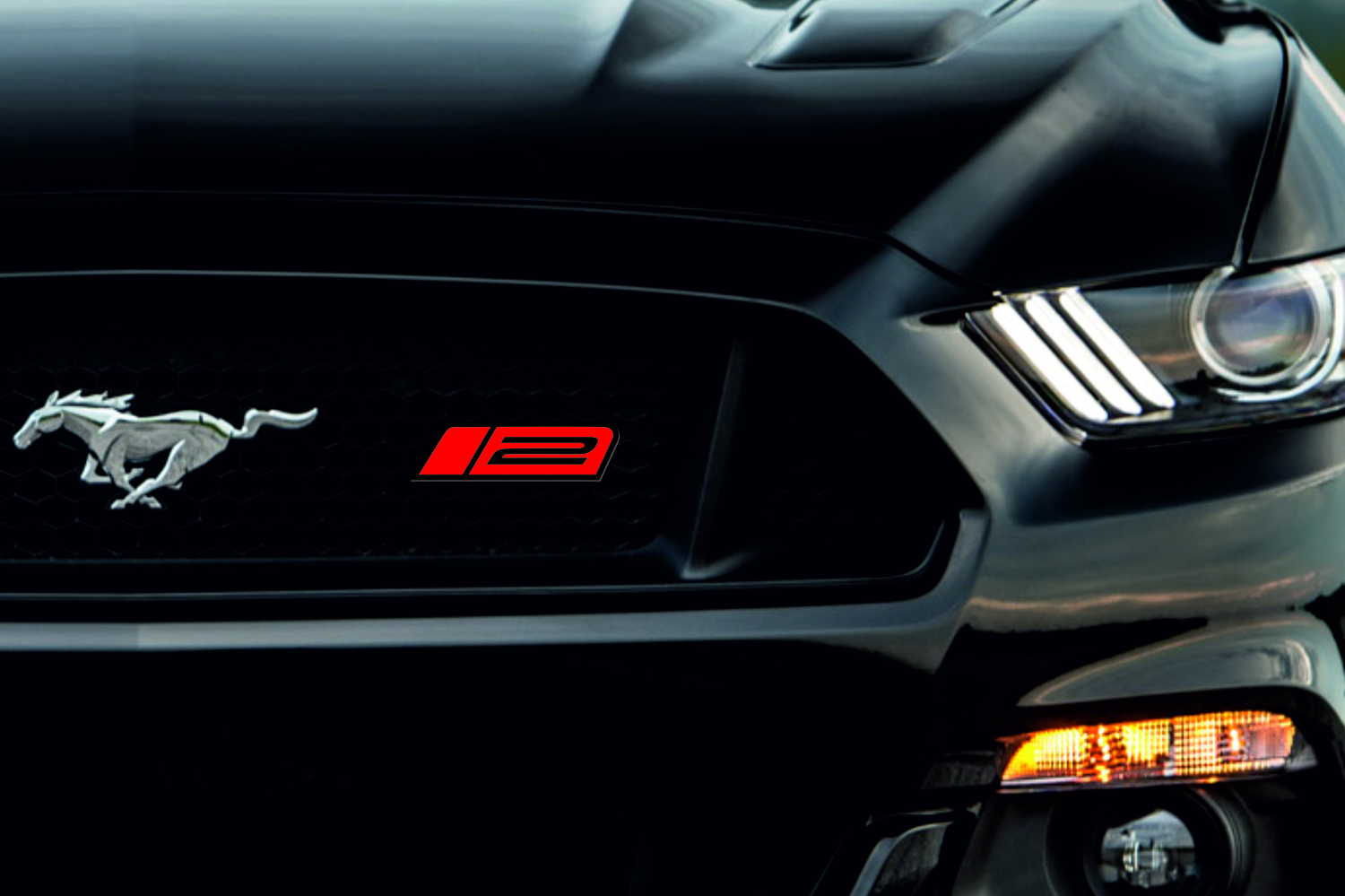 Ford Mustang Emblem & Badge Set - Grille and Tailgate Roush Stage 2 logo Ford emblems decoinfabric