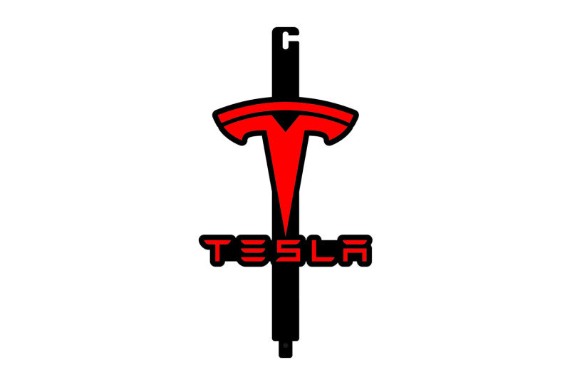 Car Show Stainless Steel Hood Prop with Tesla Logo